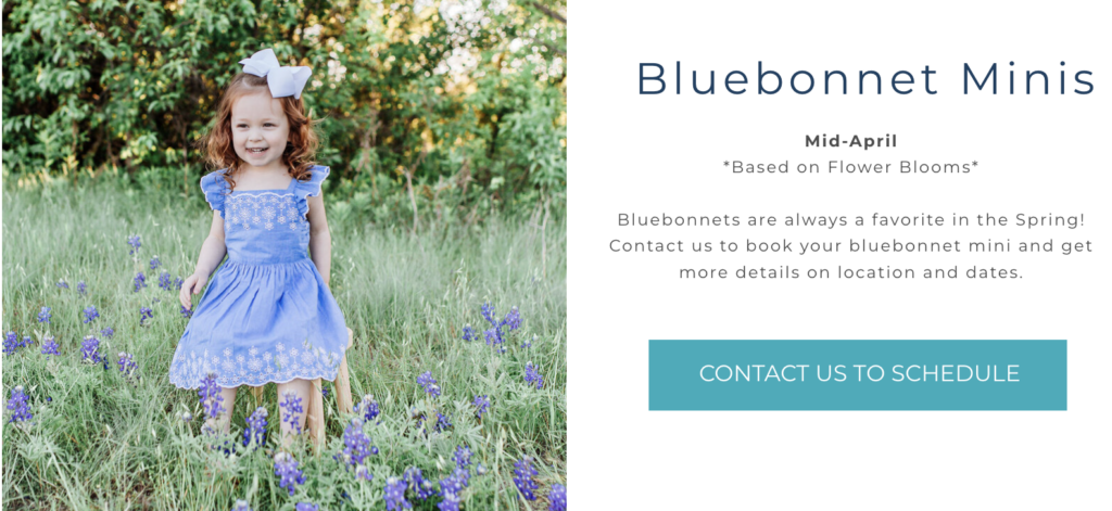 Girl sitting on a stool in bluebonnet field